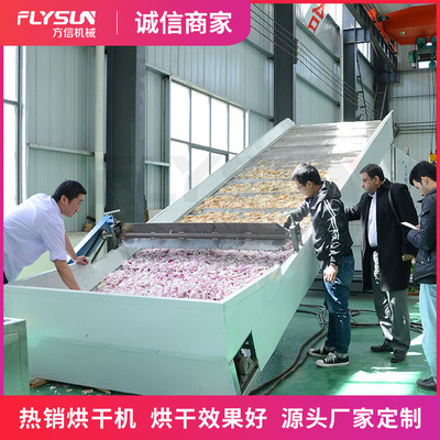 果蔬干燥機 果蔬網(wǎng)帶烘干機 果蔬烘干機 水果蔬菜干脆片烘干機