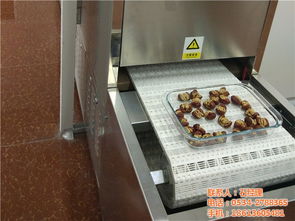 千弘微波STJ型蔬菜烘干脫水機 優質商家推薦的果蔬烘干解決方案